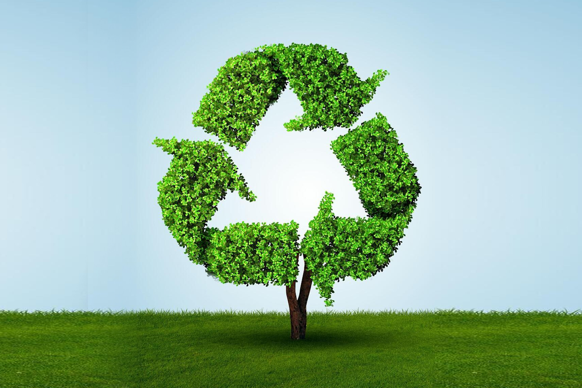 The Inevitability of Sustainable Packaging